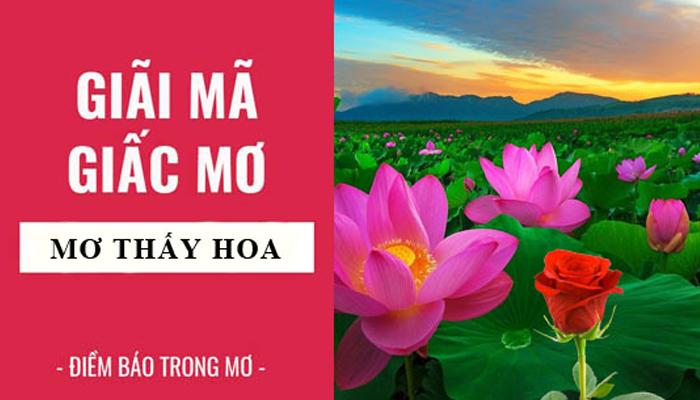 Giải mã ý nghĩa giấc mơ thấy hoa