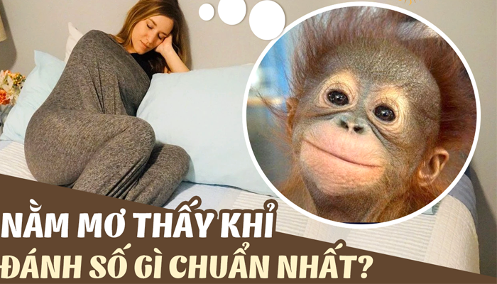 Mơ thấy khỉ ứng với nhiều con số may mắn trong lô đề