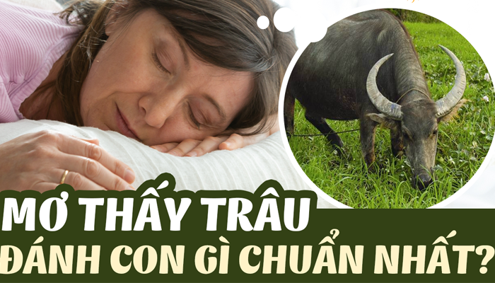 Chiêm bao nằm mơ thấy trâu đánh con gì?