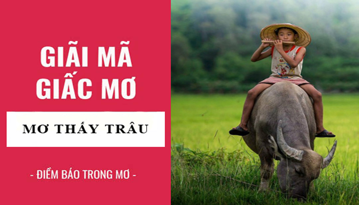 Giải mã ý nghĩa giấc mơ thấy con trâu