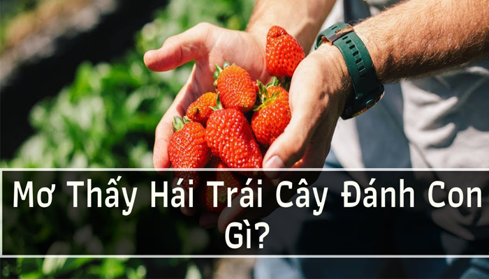 Nằm mơ thấy trái cây có nhiều con số may mắn trong lô đề