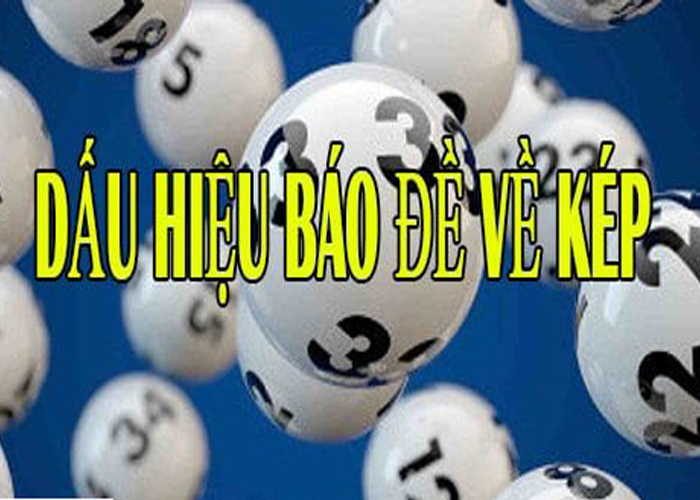 Dấu hiệu đề báo kép