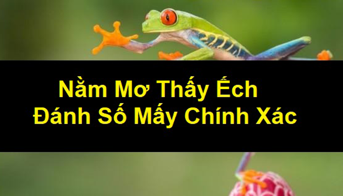 Nằm Mơ Thấy Ếch Đánh Con Gì Trúng Đậm?