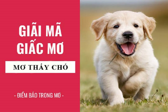 Ý nghĩa giấc mơ thấy chó con