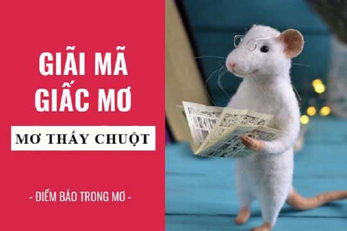 Giải nghĩa giấc mơ thấy chuột