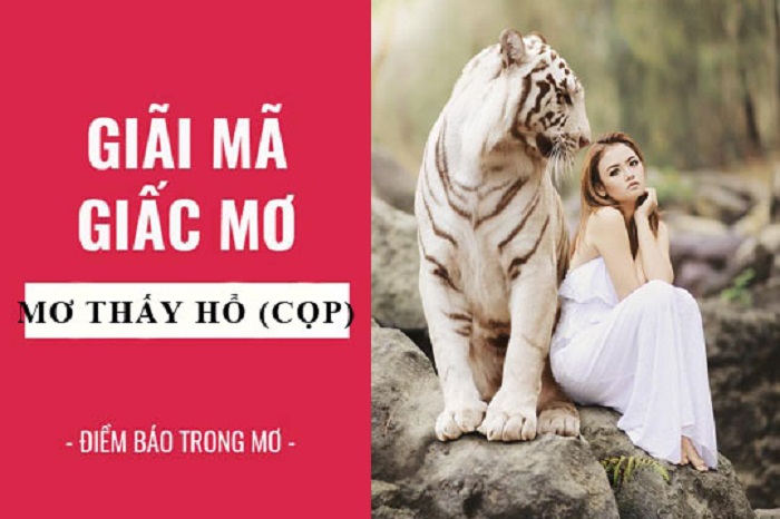 Ý nghĩa giấc mơ thấy hổ