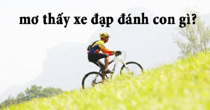 Mơ thấy xe đạp đánh con gì?