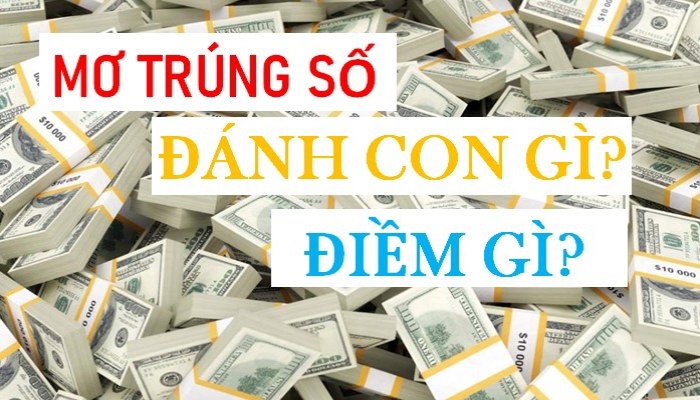 Ý nghĩa giấc mơ thấy trúng xổ số