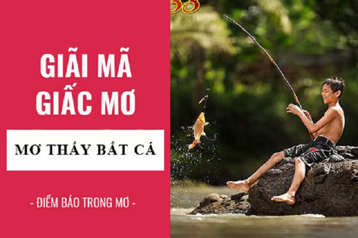 Giải mã giấc mơ bắt được cá, mơ bắt được cá quất ngay con gì?