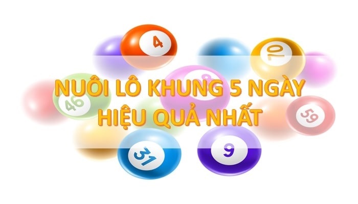 Lô nuôi khung 5 ngày là gì?