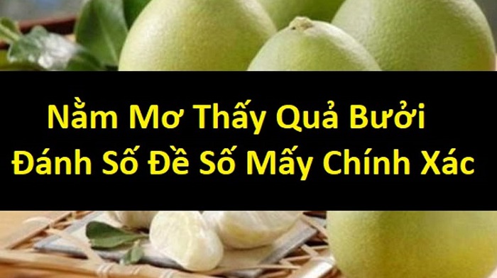 Mơ thấy bưởi đánh lô đề con gì khủng nhất