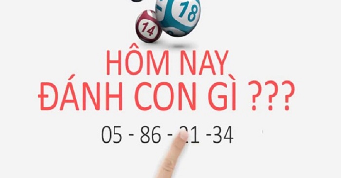 hững cầu lô đẹp miền bắc hôm nay